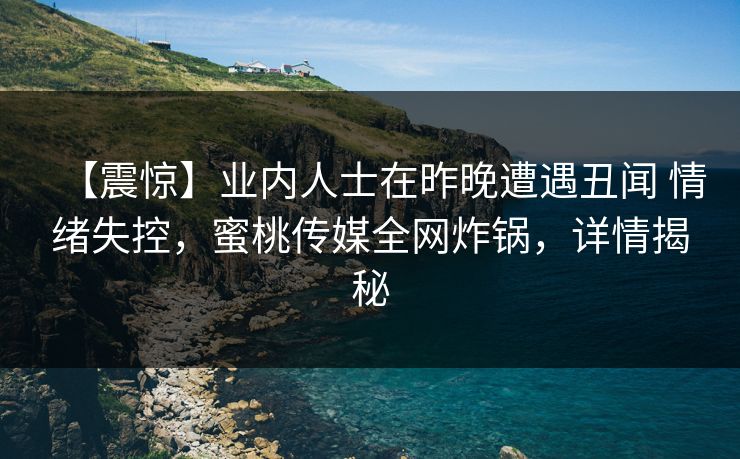 【震惊】业内人士在昨晚遭遇丑闻 情绪失控，蜜桃传媒全网炸锅，详情揭秘