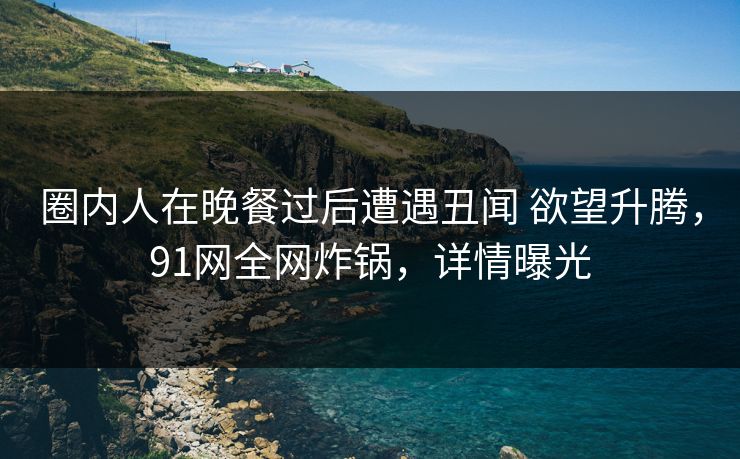 圈内人在晚餐过后遭遇丑闻 欲望升腾，91网全网炸锅，详情曝光
