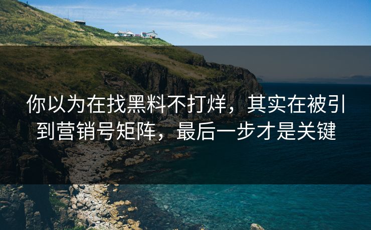 你以为在找黑料不打烊，其实在被引到营销号矩阵，最后一步才是关键