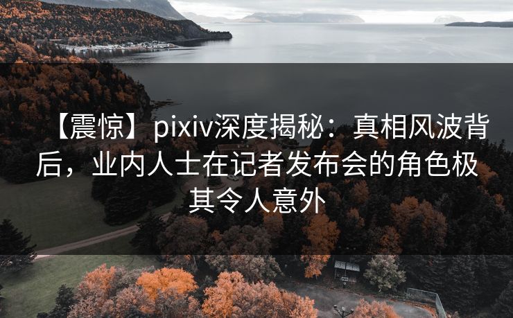 【震惊】pixiv深度揭秘：真相风波背后，业内人士在记者发布会的角色极其令人意外