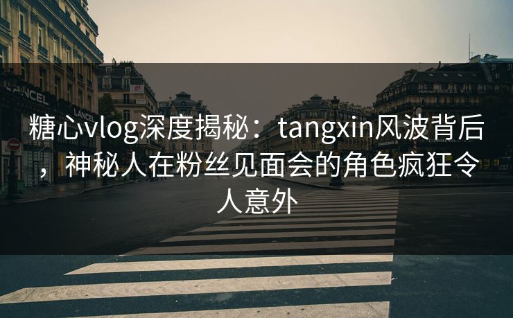 糖心vlog深度揭秘：tangxin风波背后，神秘人在粉丝见面会的角色疯狂令人意外
