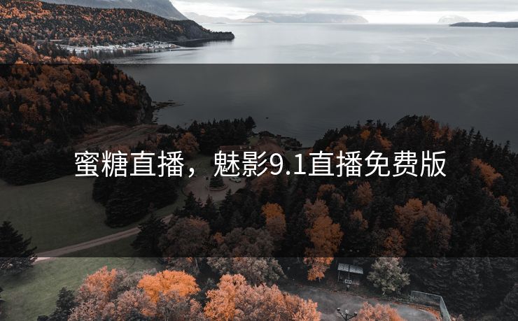 蜜糖直播，魅影9.1直播免费版