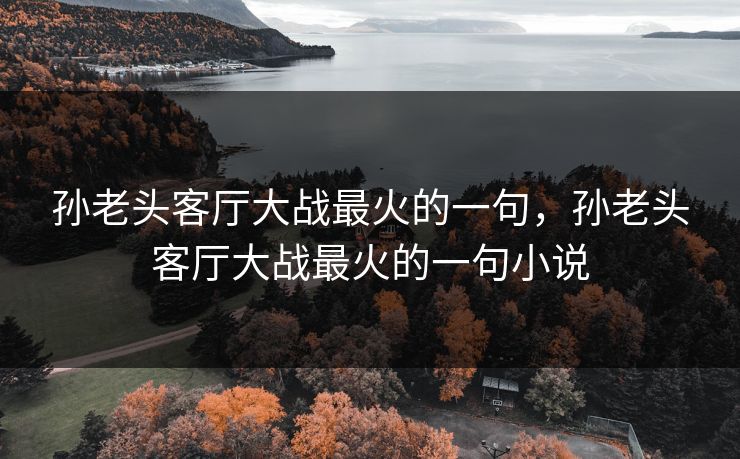 孙老头客厅大战最火的一句，孙老头客厅大战最火的一句小说