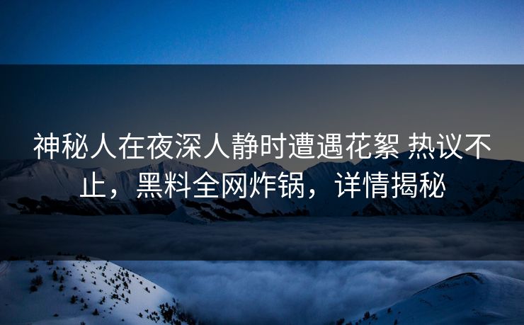 神秘人在夜深人静时遭遇花絮 热议不止，黑料全网炸锅，详情揭秘