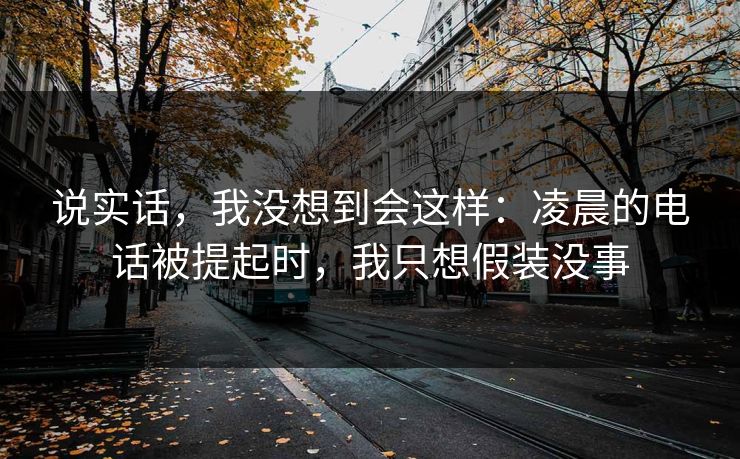 说实话，我没想到会这样：凌晨的电话被提起时，我只想假装没事