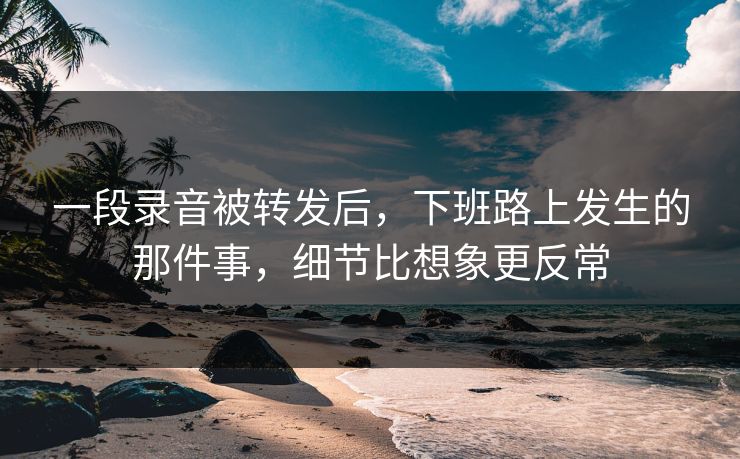 一段录音被转发后，下班路上发生的那件事，细节比想象更反常